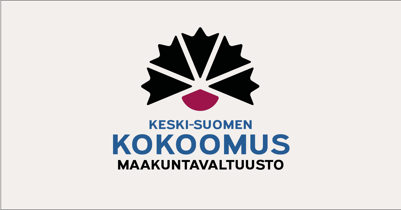Keski-Suomen Kokoomus, maakuntavaltuusto